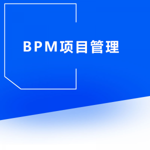 BPM管理系统